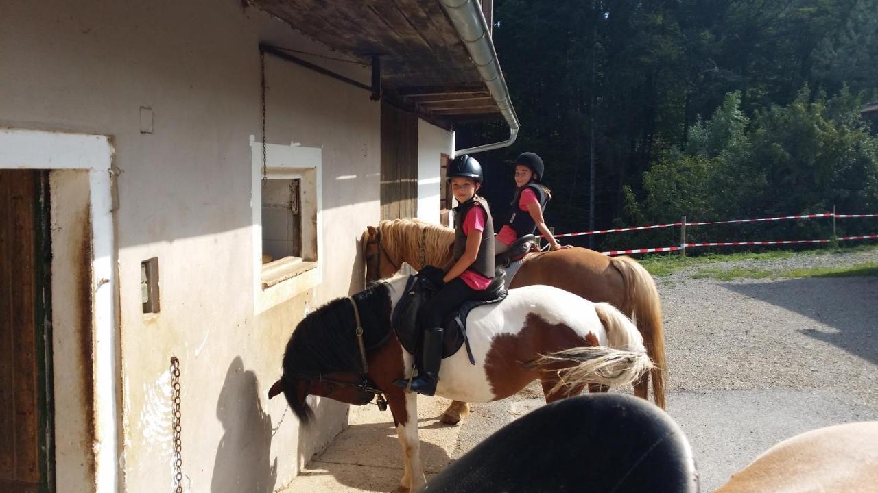 Ferienwohnung Moitz Heimschuh Екстериор снимка